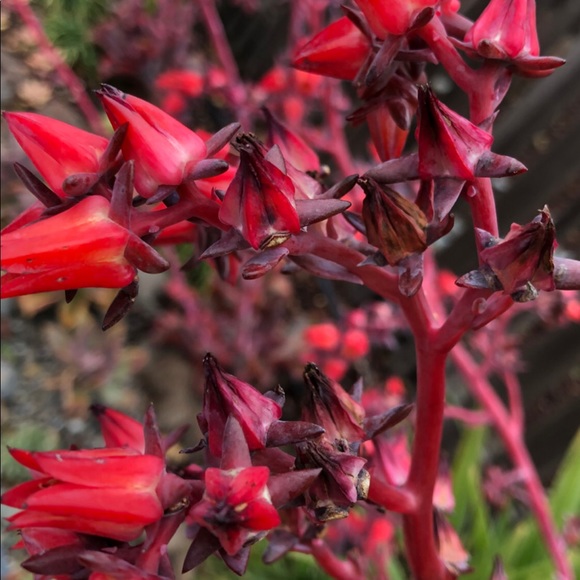 _Kit. - Picture 3 of 6